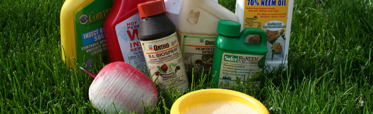 2013_480_MGM_Spring_Clean_Up_Proper_Disposal_of_Pesticides.jpg